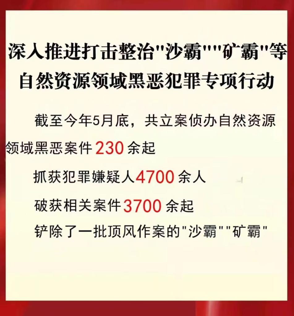 公安機(jī)關(guān)打擊整治“沙霸”“礦霸”破案3700余起