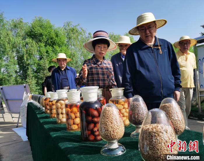 青海：利用冷涼氣候，打造高原綠色種業(yè)輸出地