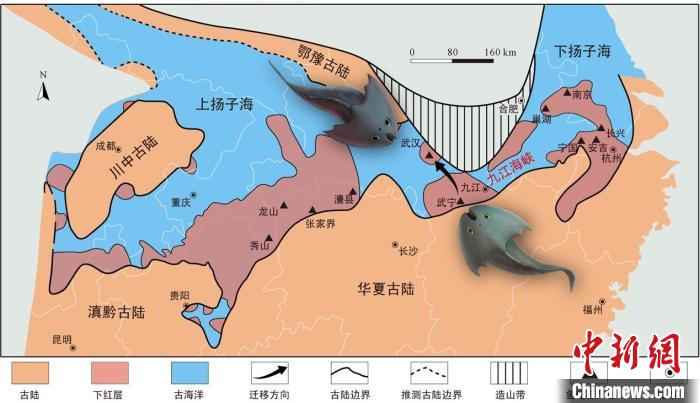 華南地區(qū)志留紀早期古地理圖和盔甲魚類化石產地(山顯任改自陳旭、戎嘉余，1996；戎嘉余等，2012) 中科院古脊椎所 供圖