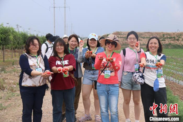 圖為臺胞體驗大美內(nèi)蒙古?！⊥袐I供圖