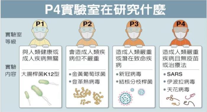 P4實驗室在研究什么。臺灣聯(lián)合新聞網(wǎng)資料圖