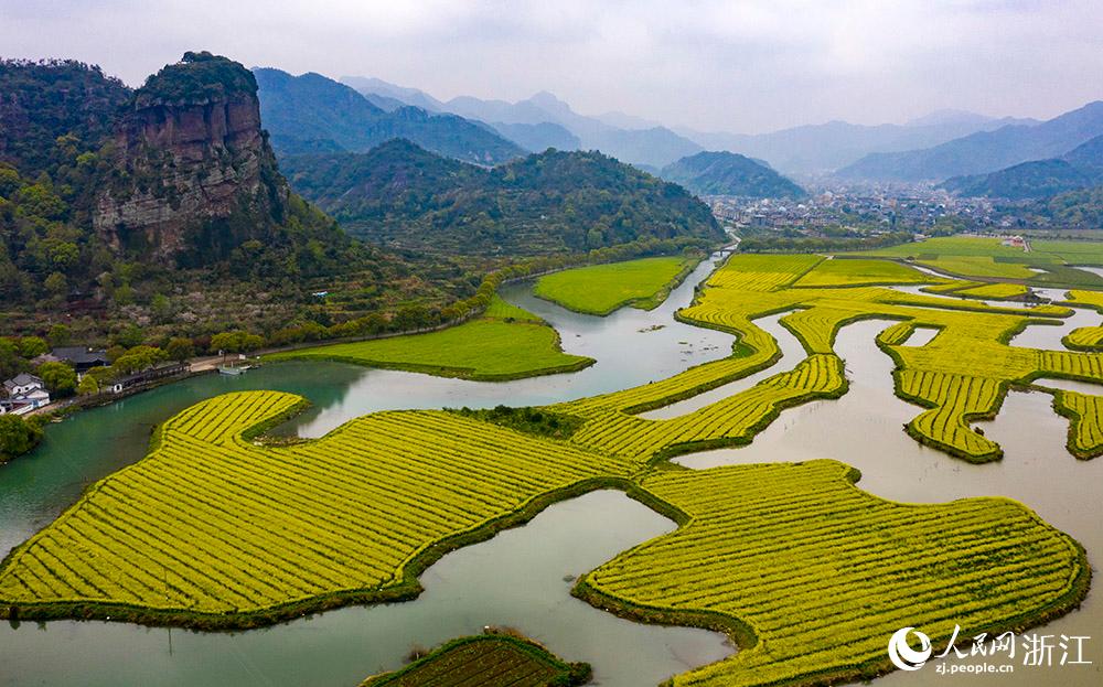 3月28日，航拍浙江省臨海市桃渚鎮(zhèn)桃江十三渚盛開的油菜花景色。人民網(wǎng) 章勇濤攝