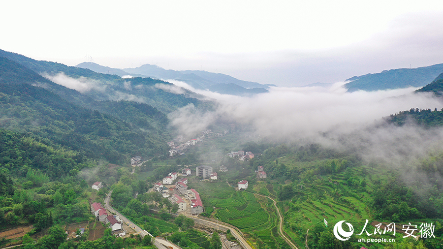 雨后的金寨大灣村，云霧環(huán)繞，宛如一幅田園山水畫卷。人民網(wǎng) 張俊攝