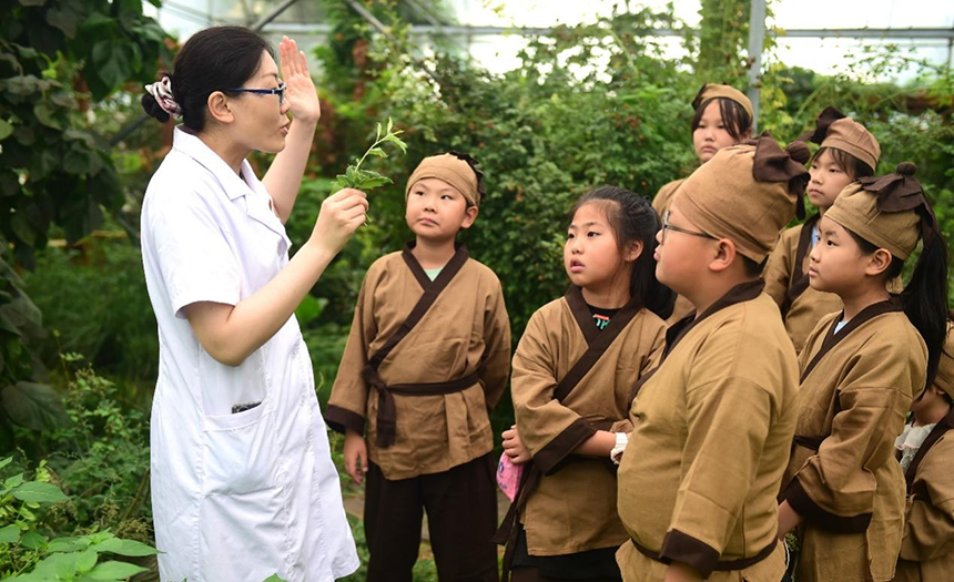 參加活動的孩子聆聽滄州市人民醫(yī)院國醫(yī)館中醫(yī)對中藥材的講解。 傅新春攝