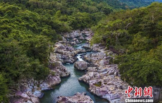 2018年海南生態(tài)環(huán)境狀況等級為“優(yōu)”，植被覆蓋率高，生物多樣性豐富，生態(tài)系統(tǒng)穩(wěn)定，圖為海南中部熱帶雨林。　駱云飛　攝