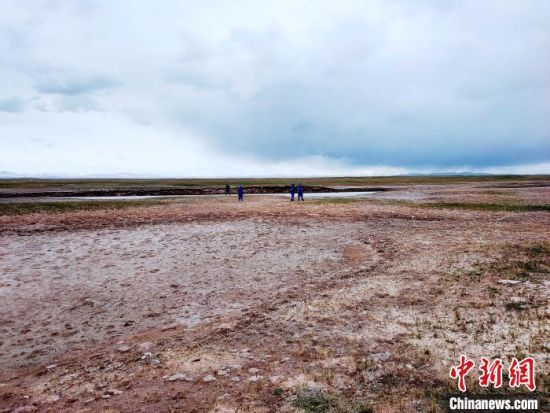 圖為救援力量在青海省西部搜救失聯(lián)的江蘇南京某大學(xué)女生黃某某。海西州藍(lán)天應(yīng)急救援中心 供圖