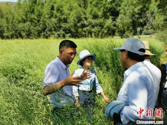 圖為九三學(xué)社青海省委主委杜德志(左一)在基層調(diào)研。受訪者供圖