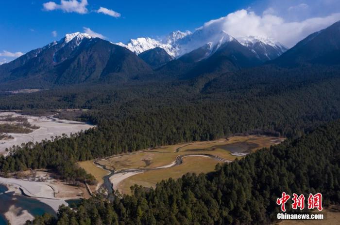 資料圖：西藏崗云杉林與遠處的雪峰。 何蓬磊 攝