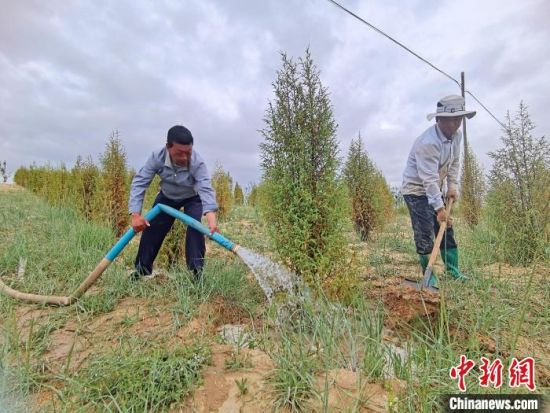 圖為扎西和村民給樹澆水。　祁增蓓　攝