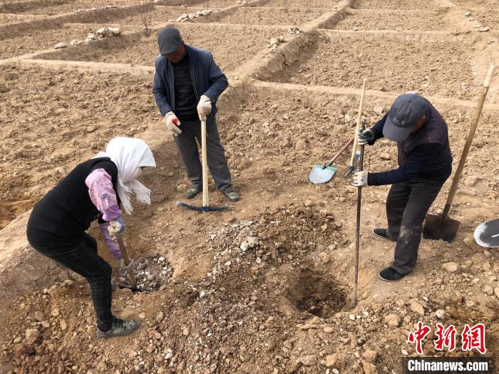 資料圖為建行青海省分行綠化區(qū)施工隊(duì)隊(duì)員處理亂石?！〗ㄐ星嗪Ｊ》中泄﹫D