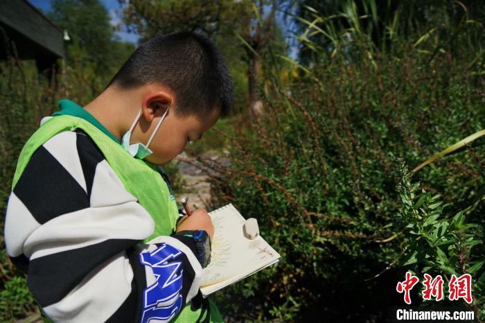 圖為小朋友在青海西寧湟水國(guó)家濕地公園內(nèi)認(rèn)識(shí)植物并進(jìn)行繪畫?！●R銘言 攝