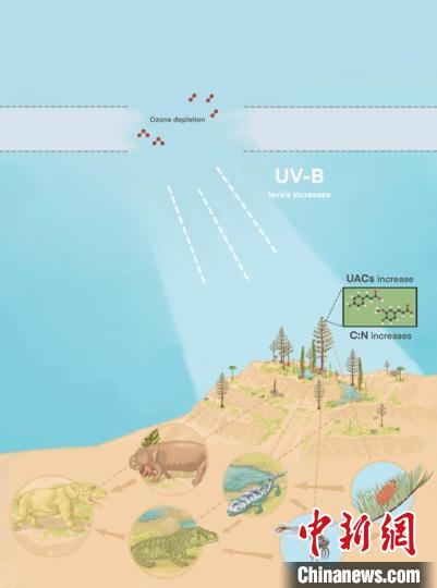 臭氧層破壞引起的紫外線輻射增加對陸地食物鏈的影響?！∧瞎潘?供圖