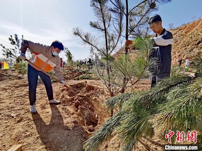 圖為西寧市城東區(qū)義務植樹活動現(xiàn)場。　張?zhí)砀?攝