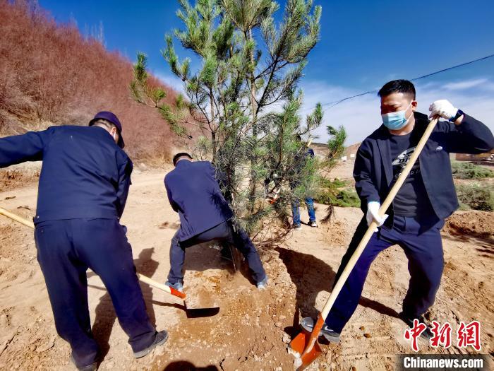 圖為西寧市城東區(qū)義務植樹活動現(xiàn)場?！?zhí)砀?攝