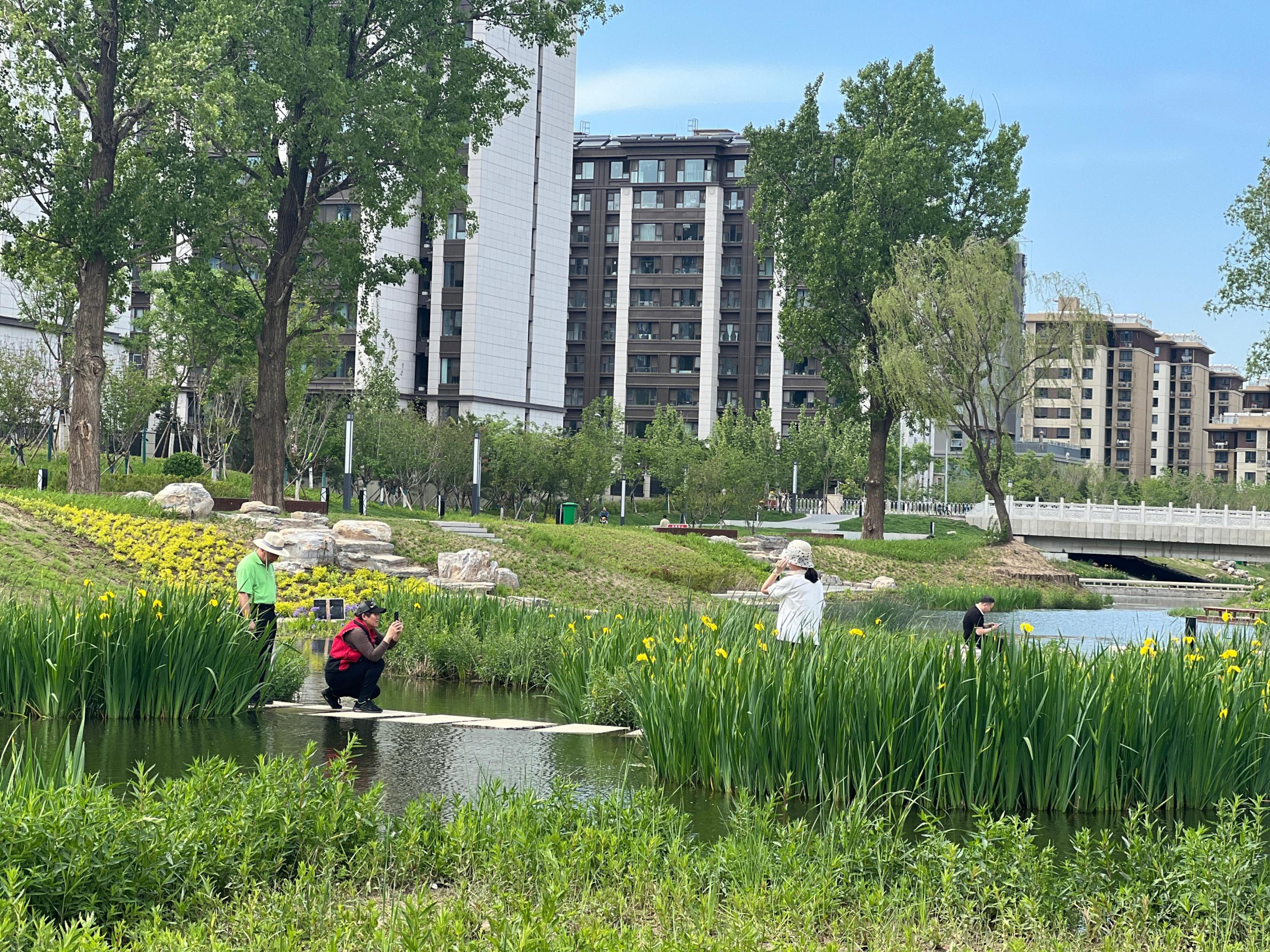 五一渠生態(tài)濱河公園內(nèi)，市民正在拍照留念。人民網(wǎng) 歐陽易佳攝