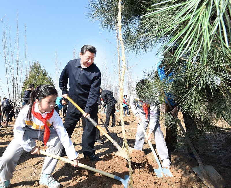 2015年4月3日，習(xí)近平總書記同大家一起植樹(shù)。