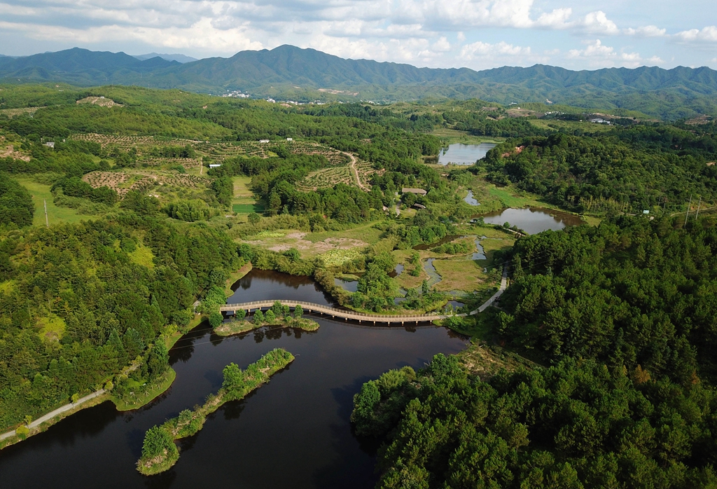 福建省龍巖市長(zhǎng)汀縣的長(zhǎng)汀汀江國(guó)家濕地公園景色（2020年7月28日攝，無人機(jī)照片）。新華社記者 魏培全 攝