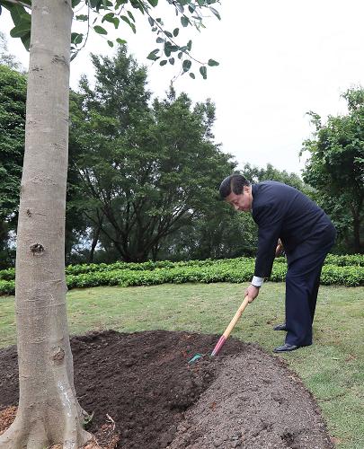 2012年12月7日至11日，習(xí)近平在廣東省考察工作。這是8日上午，習(xí)近平在深圳蓮花山公園種下一棵高山榕樹。新華社記者 蘭紅光 攝