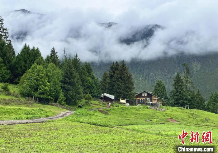 6月10日，魯朗小鎮(zhèn)高山牧場景區(qū)風光?！∪轿木?攝