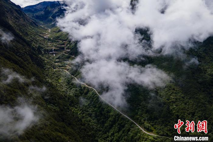 西藏山南勒布溝景區(qū)的盤山公路被云霧環(huán)繞?！〗w波 攝