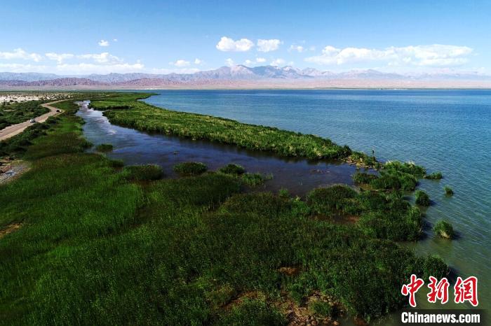 柴達(dá)木盆地山水林田湖草試點建設(shè)項目全部完成