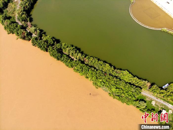 圖為2020年9月3日航拍黃河蘭州段濕地公園現(xiàn)黃河“鴛鴦鍋”。(資料圖) 高瑩 攝