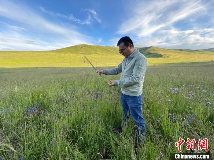 青海達(dá)日“援青縣長(zhǎng)”：雪域高原生態(tài)、民生“并蒂花開(kāi)”