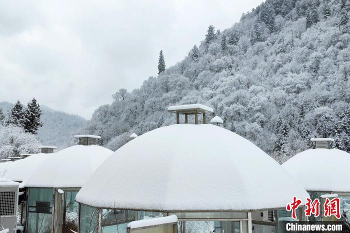 大熊貓國家公園王朗片區(qū)春雪如畫，宛若仙境。　羅春平 攝