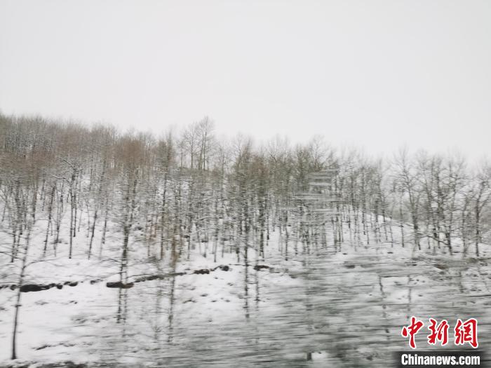 圖為青海青沙山區(qū)域被降雪覆蓋。　張?zhí)砀?攝