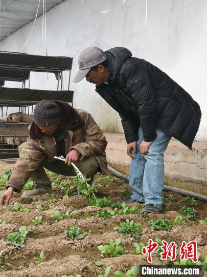 圖為尼瑪扎西(右)與西藏農(nóng)民聊天(資料圖)。西藏農(nóng)科院 供圖