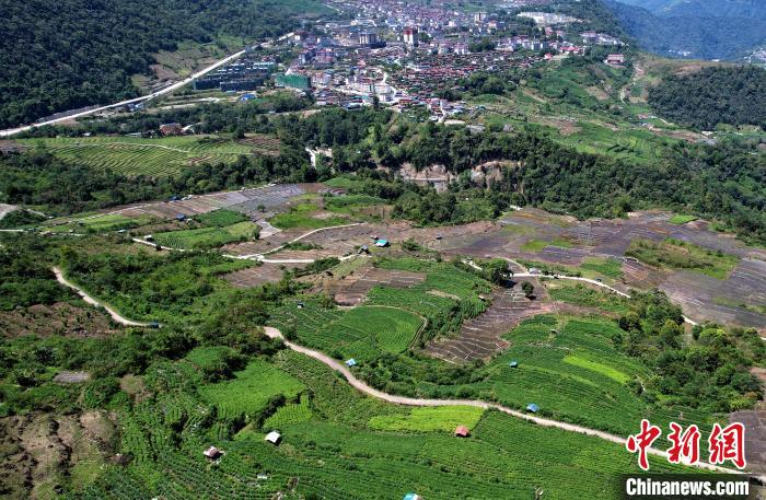 圖為西藏林芝市墨脫縣城附近的茶田。(無(wú)人機(jī)照片) 李林 攝