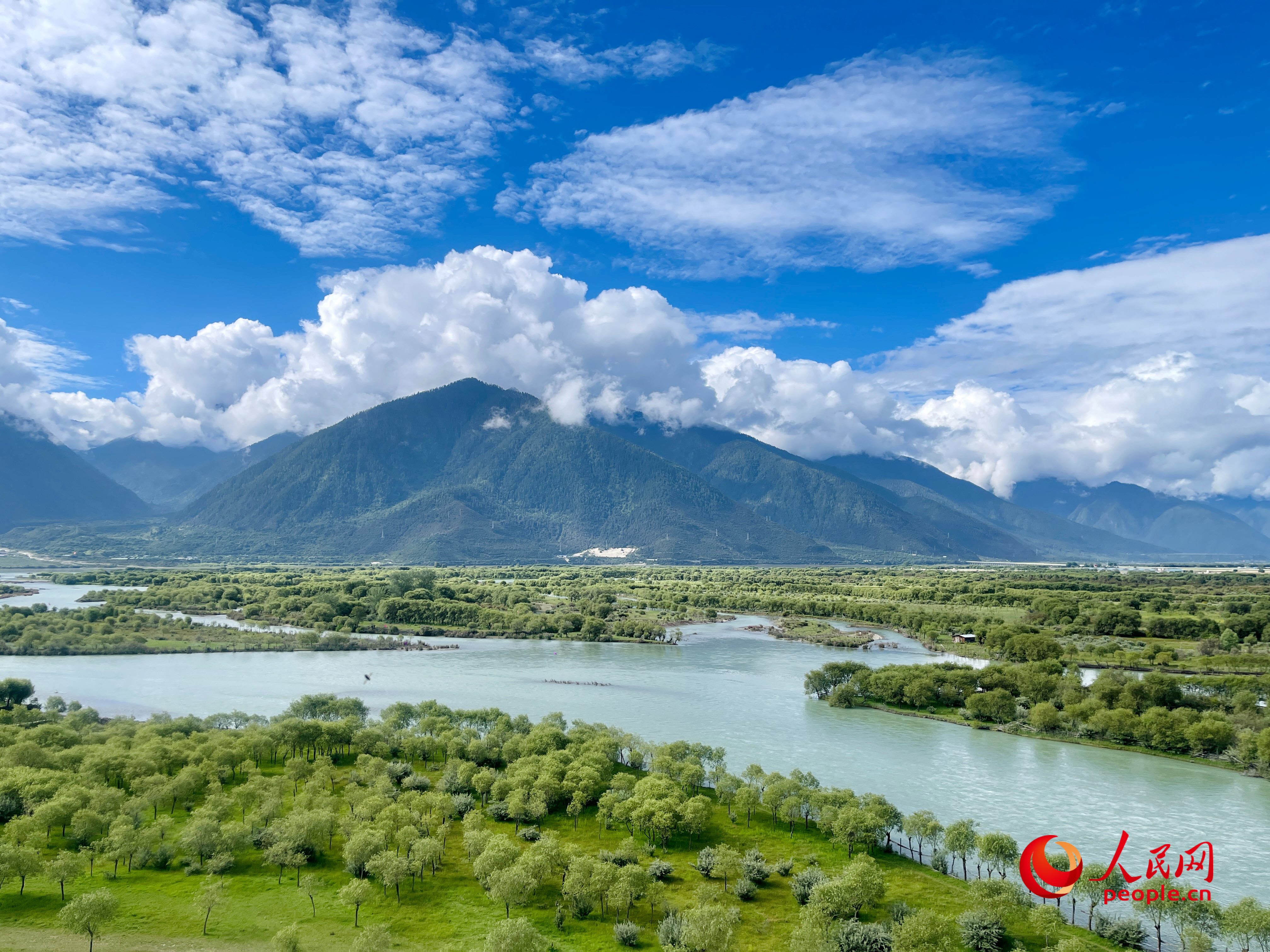 夏日的雅尼國家濕地公園生機盎然，如詩如畫。人民網(wǎng) 周靜圓攝