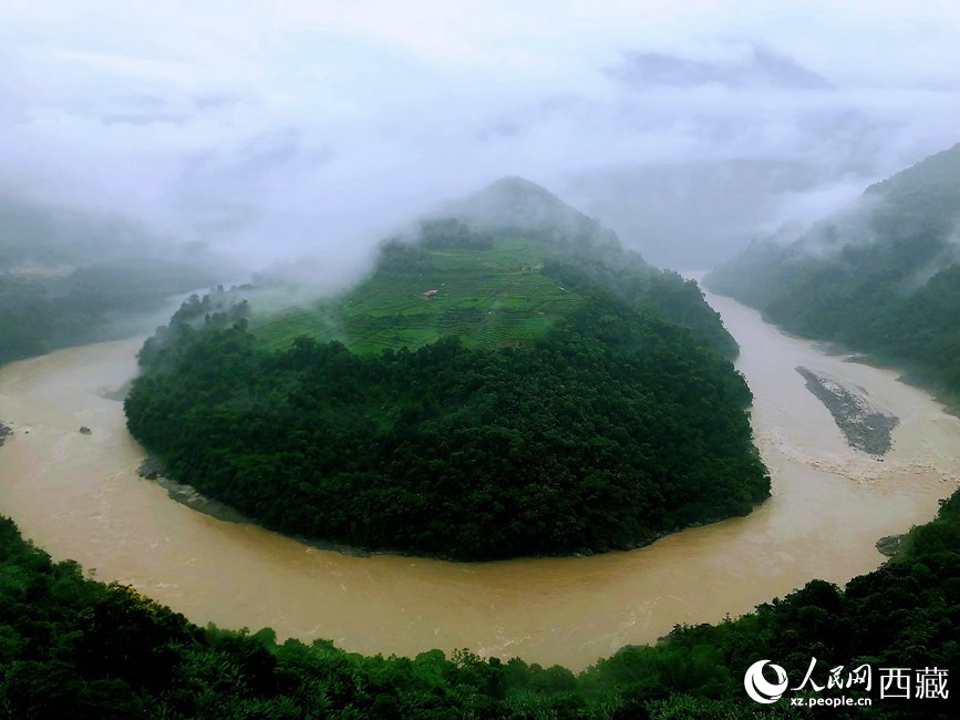 雅魯藏布江大峽谷蛇形拐彎處，山坡上種滿茶樹。