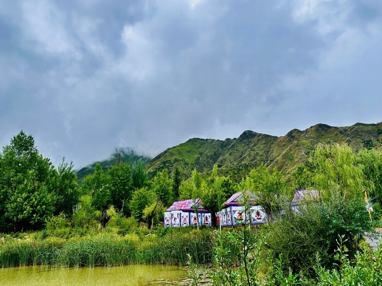 郁郁蔥蔥的南山公園。人民網(wǎng)記者 益西康珠攝